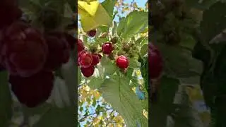 7 октября 2024 г.