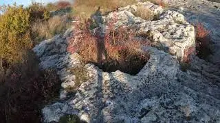 Прогулка