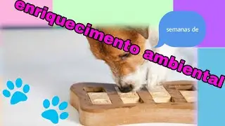 Enriquecimento ambiental