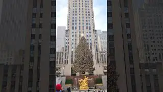 Rockefeller Center 🌳