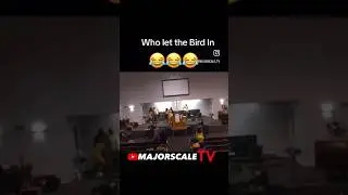 When they say the doors of the church is open… they really mean it LOL 🐦‍⬛⛪️
