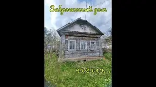 Купил заброшенный дом в деревне, разбираю завалы