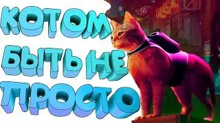 Котом быть не просто ( Stray )