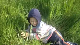 На даче