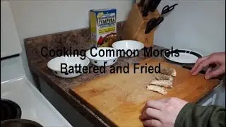 Cooking Common Morels:  Battered and Fried
