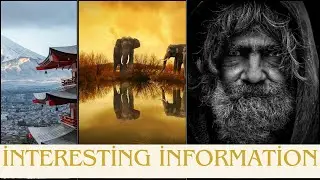 Interesting facts to know - information videos -