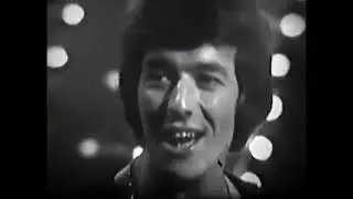 THE HOLLIES (1966) - Top Of The Pops