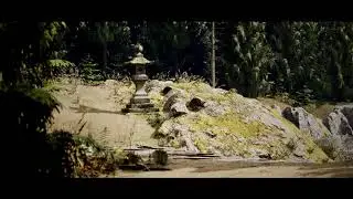 UE5 animation - NATURE -