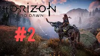 Horizon Zero Dawn PC #2 (2020)