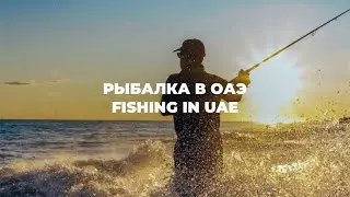 Рыбалка в ОАЭ / Fishing in UAE