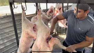 Как Узбеки разделывают МЯСО!!!Разделка МЯСА Барана за 3 Минуты!