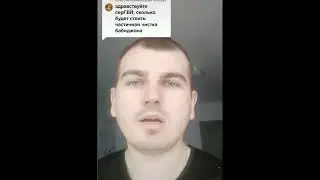 Сколько будет стоить чистка бабиджона