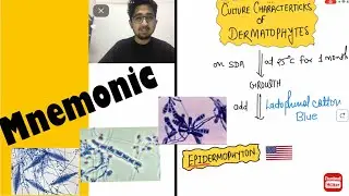 Mnemonics for Morphology & Culture characteristics of Dermatophytes #neet_pg_2022 #inicet #microbio