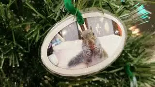 Squirrel Themed Christmas Tree