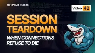 Session Teardown Tutorial | Connection Termination | TCP/IP Course 2025 - 