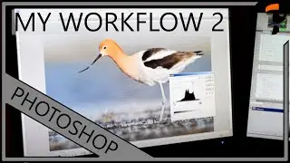 Nature Photography Workshop - Adobe Photoshop Workflow - Part 2