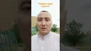 Радары снова в деле !? 