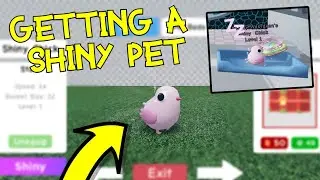 Getting A Shiny Pet in Laundry Simulator | How To Get a Shiny Pet For Free!!! (Laundry Simulator)