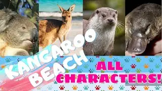 Kangaroo Beach Characters in REAL LIFE! ABC KIDS