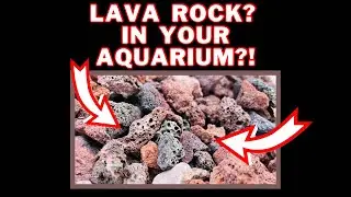 All About Lava Rock In Your Aquarium!