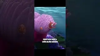 Интересные факты про мультфильм В поисках Немо