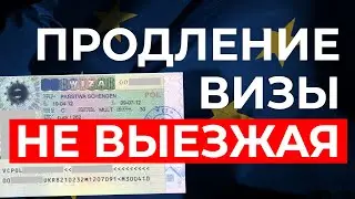 Продление визы в Польше НЕ ВЫЕЗЖАЯ. Кто может? И что делать остальным?