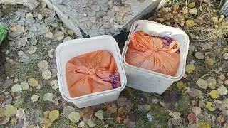 Закрытие дачного сезона Подвожу итоги
