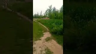 #shortvideo
