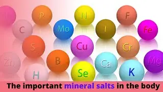 Lack of mineral salts in the body and its danger to your health