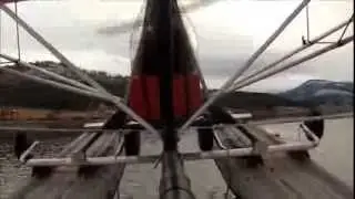 tbird amphib