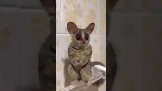 Начните новый учебный год с улыбки!)) https://t.me/russkij_s_ekspertom