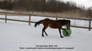 Юный Футболист