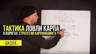 ТАКТИКА ловли КАРПА в КОРЯГАХ. СОВЕТЫ по выбору СНАРЯЖЕНИЯ