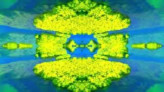 The Canopy