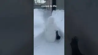 Snowman comes to life