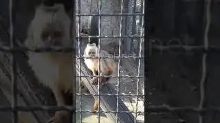 Что скрывает эта 