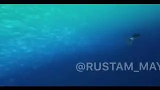 Новая озвучка МОАНА от Джавида.