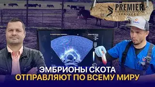 Embryonic Reproduction of Cattle in the US: Prices, Technology, and Benefits for Farmers