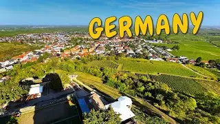 ⭐ Exploring Wachenheim, Germany & the Castle Ruins