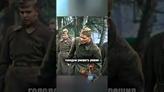 Вот что делает голод с солдатом #фильмы #кино #сериал