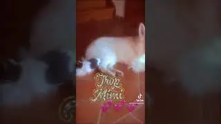 Ma Kira est un amour 😅
