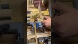 Dado Cut Joint | ASMR | Woodworking #shorts