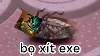 bọ xít exe | AU LISHIT