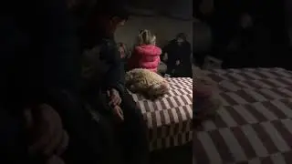 Харьков. В подвалах…