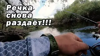 ПОПАЛ НА ДИКИЙ КЛЁВ!!! РЕКА СНОВА РАЗДАЁТ!!!