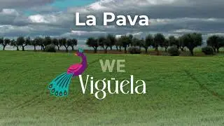 07. La Pava / The Hen Turkey (album: We)