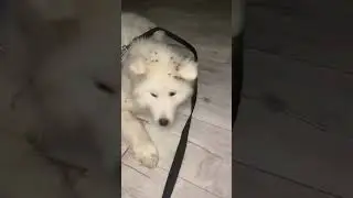 Верните зиму 🙈 