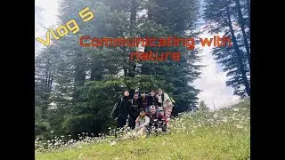 COMMUNICATING WITH NATURE  {CAMPING NIGHT}