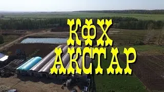 птицеферма Акстар