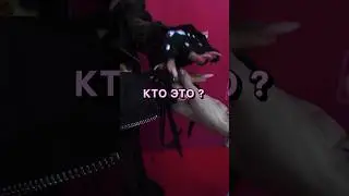 Как думаете, кто это ? 